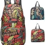 Lightweight and Packable Backpack, Durable Travel Backpack, Camping, Beach Sports Backpack, Small Hiking & Outdoor Foldable Backpack